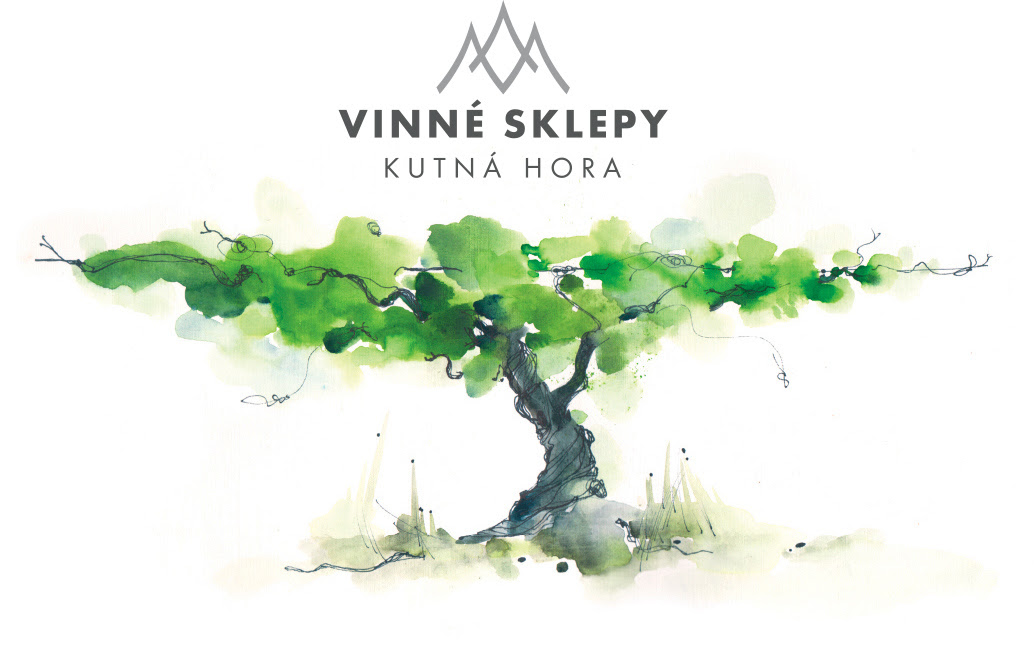 logo vskkh na eshop new